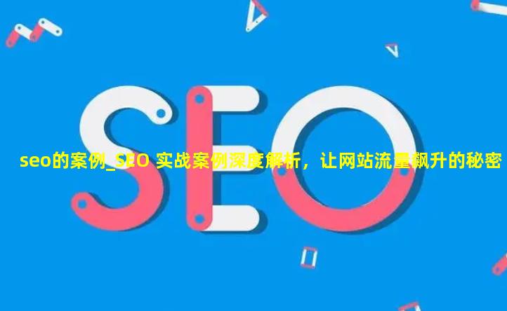 seo的案例_SEO 实战案例深度解析，让网站流量飙升的秘密武器